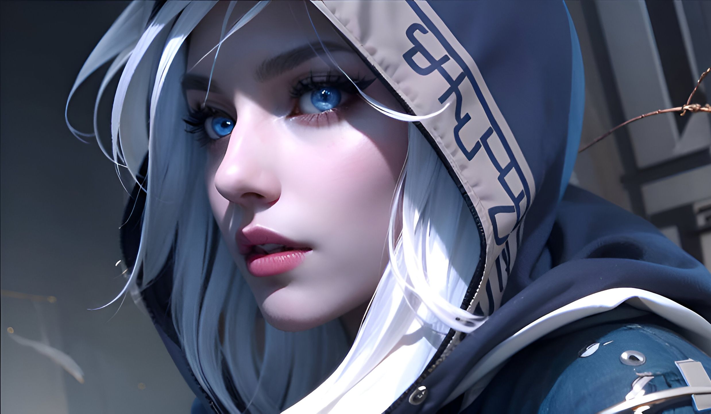 类似情况在 类似情况在