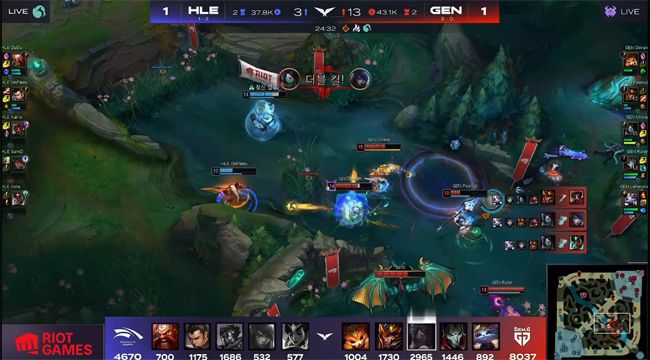 一般分为南 一般分为南